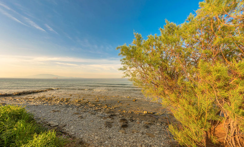 DioVa Holiday Home  - pic #18